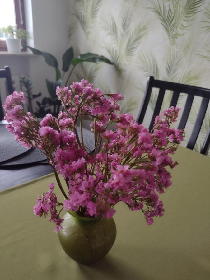Apartament Nad Jeziorakiem Iława エクステリア 写真