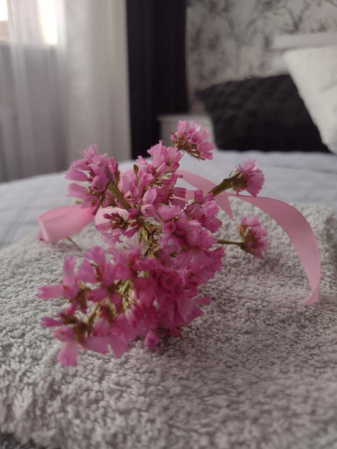 Apartament Nad Jeziorakiem Iława エクステリア 写真